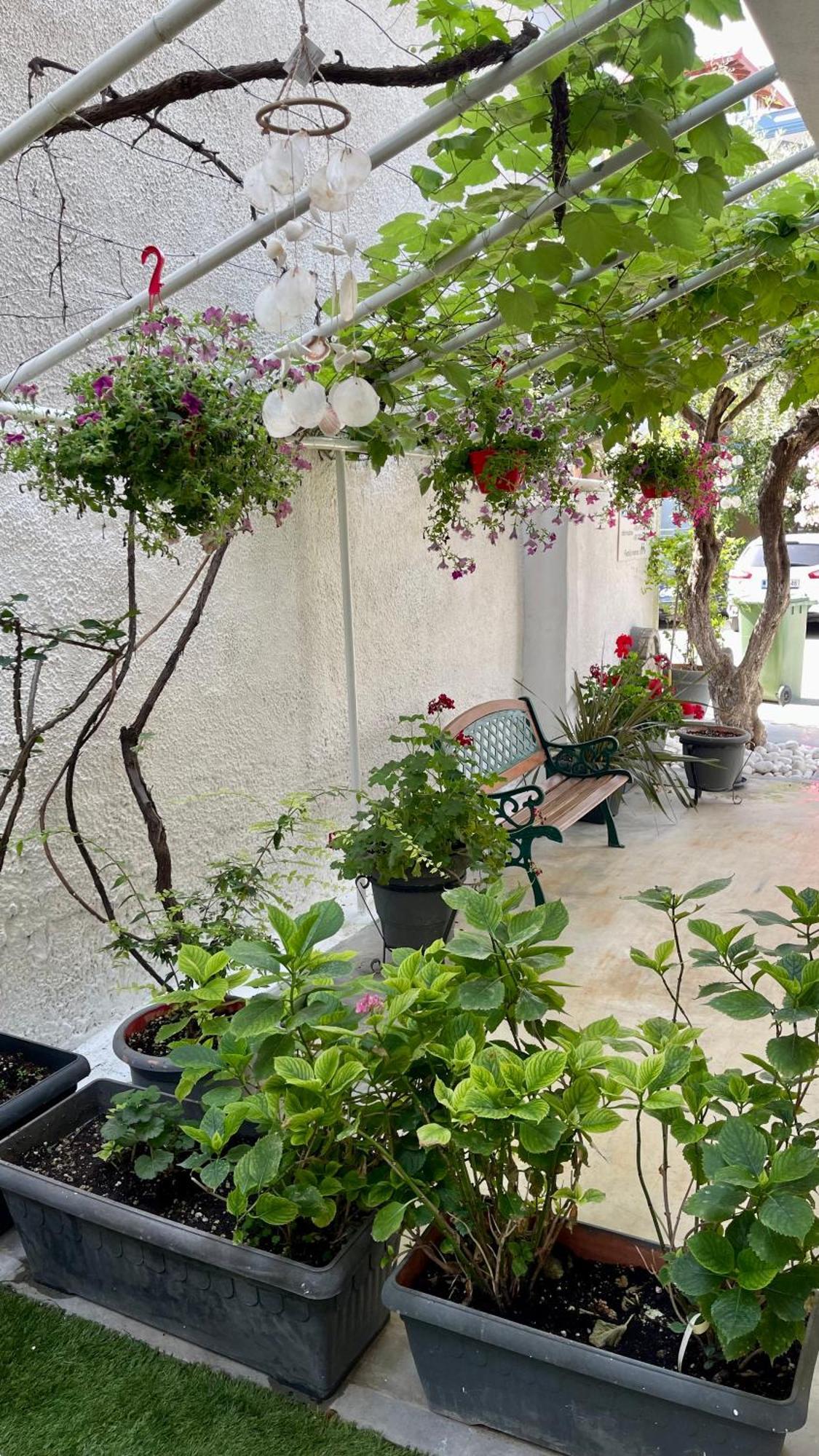 Velonis Apartments 乐托卡亚 外观 照片